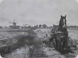 Rond 1950, Jouke Smits keert het gras. Op achtergrond de Sondeler molen in de oude Sondeler polder.
